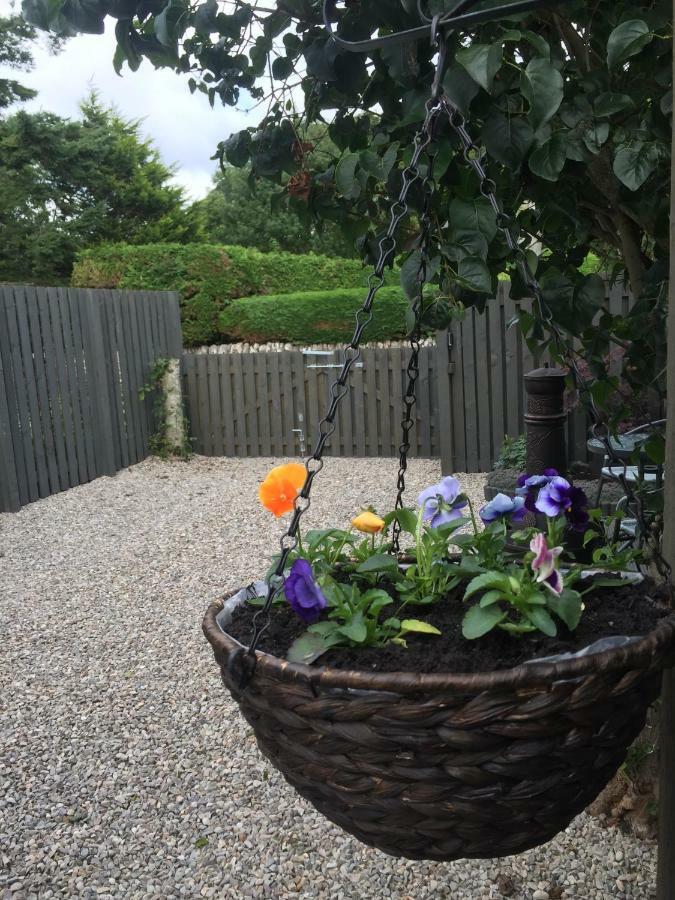 Foxy'S Den Dornoch Villa Dış mekan fotoğraf